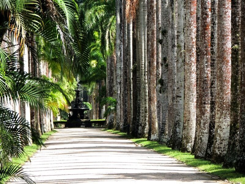 Circuit Découvrez Rio de Janeiro en 8 jours - De Rio de Janeiro A Rio de Janeiro pas cher photo 3