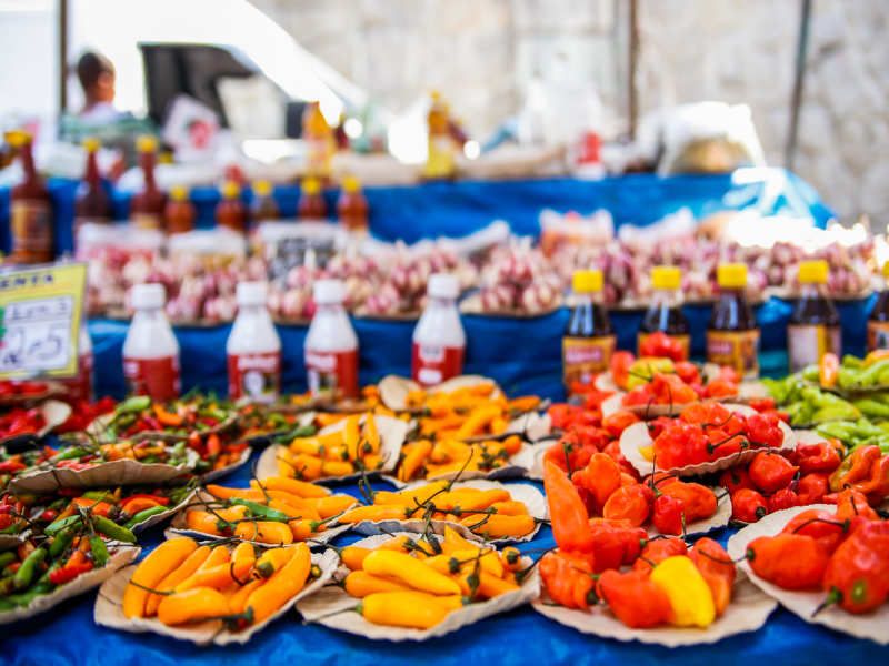 Circuit Privé Voyage Ecoresponsable sur la Costa Verde - De Rio de Janeiro à Sao Paulo pas cher photo 5