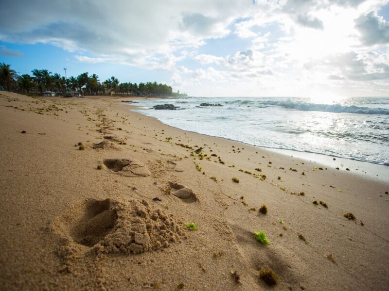 Circuit Brésil : Nature et Culture - Rio de Janeiro, Salvador et Imbassaì & extension Chapada Diaman pas cher photo 15