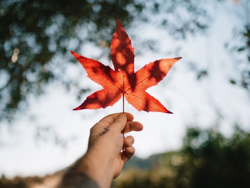 Autotour Quebec et Ontario XL 14 nuits - De Montréal A Toronto pas cher photo 15