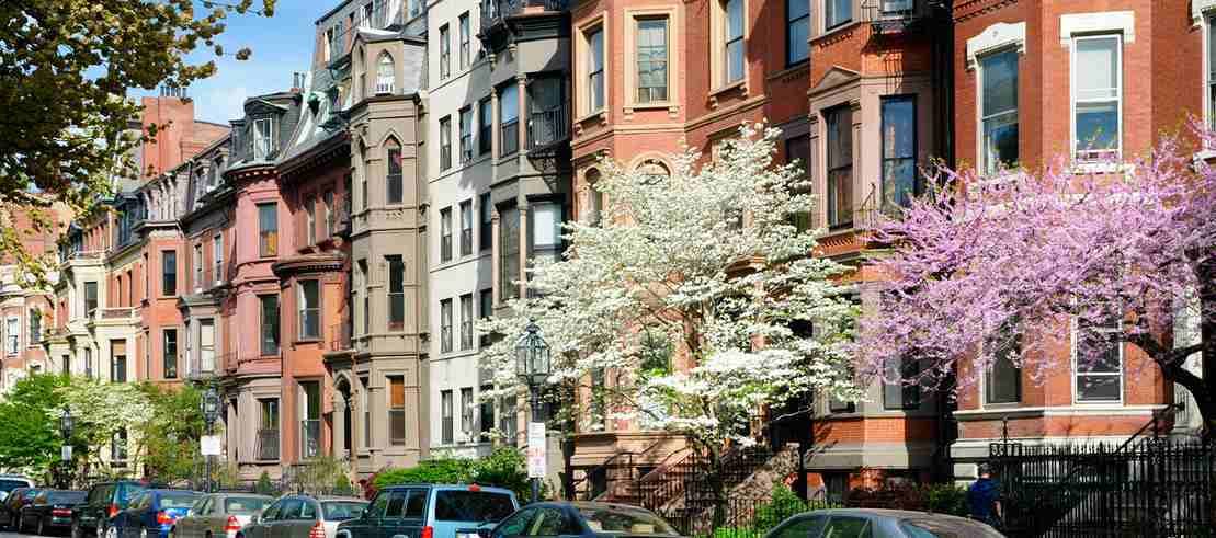 Les Joyaux Du Canada et Des Usa pas cher photo 7