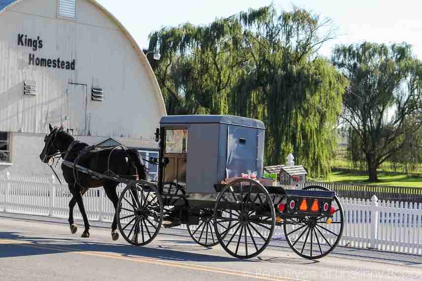 Les Joyaux Du Canada et Des Usa pas cher photo 9