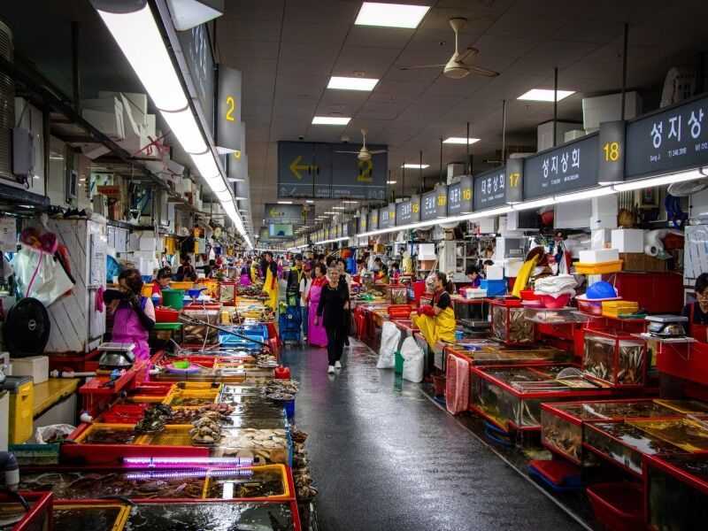 Combiné Séoul Busan en 3* pas cher photo 8