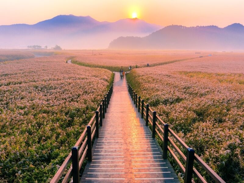 Circuit en liberté : La grande boucle de Corée pas cher photo 1