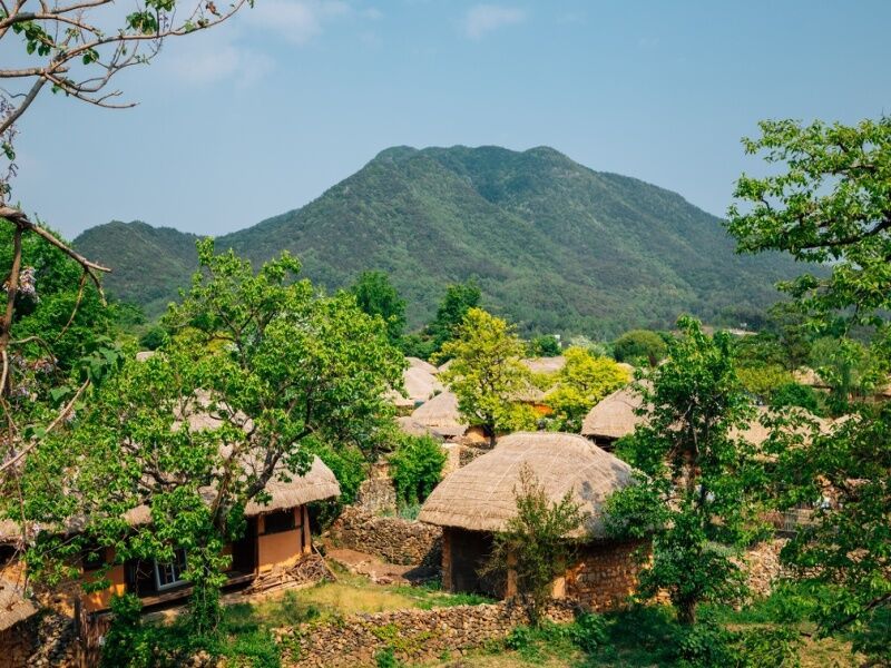 Circuit en liberté : Corée intégrale pas cher