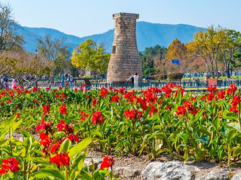 Circuit en liberté : Corée intégrale pas cher photo 8