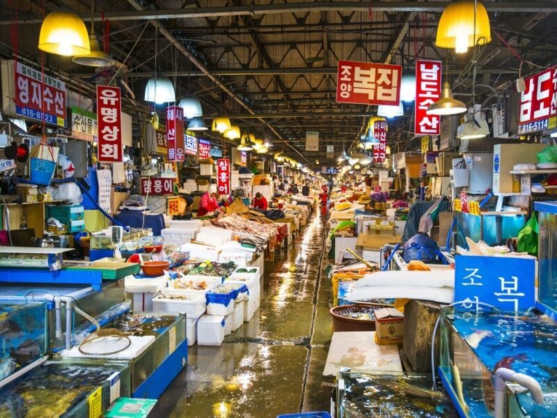 Circuit Privé De Séoul à Jeju, essence de la Corée pas cher