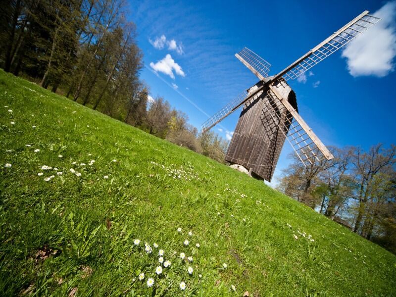 Circuit Transbaltique pas cher photo 6