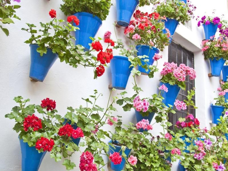 Autotour Cap sur le Sud pas cher