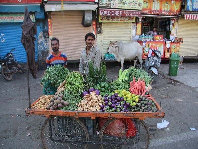Circuit Trésors de l'Inde : Delhi, Shekhavati, Jaipur, Agra - Limité à 20 pers. pas cher photo 7