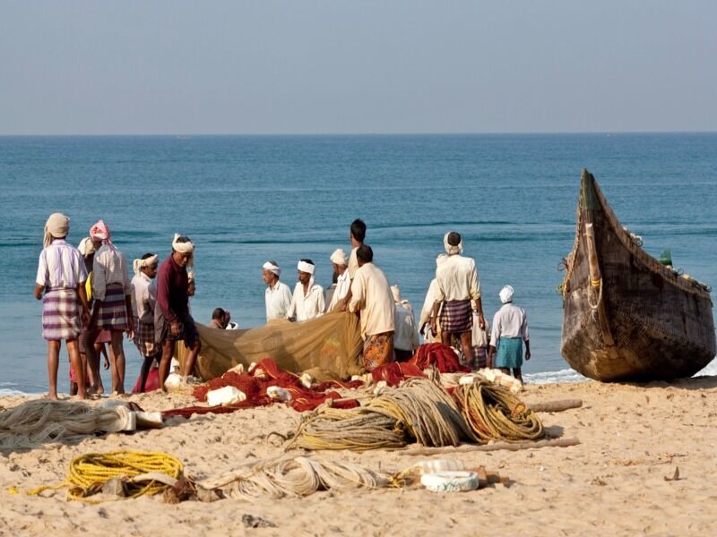 Circuit Immersion au Kerala pas cher photo 4