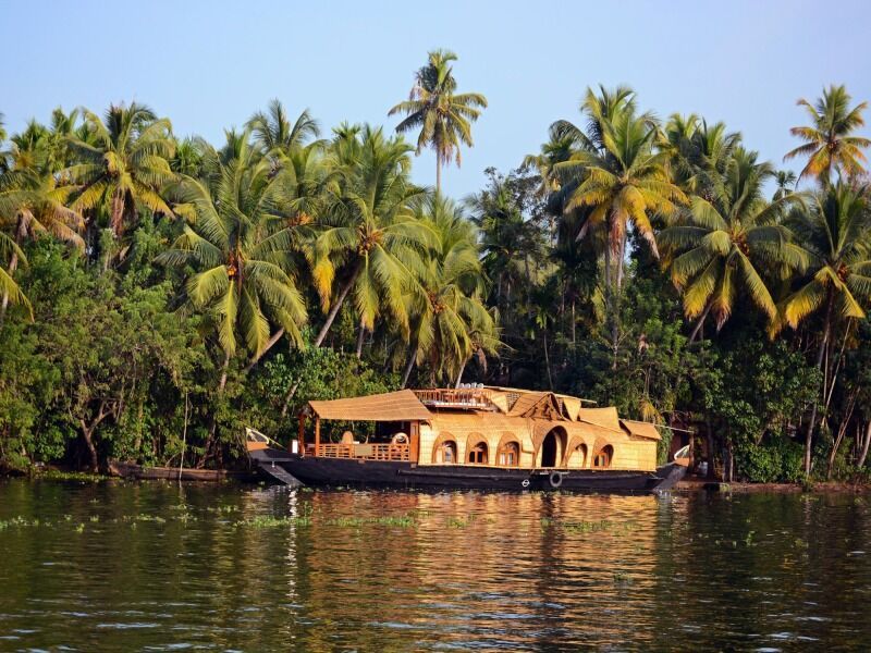 Circuit Immersion au Kerala pas cher photo 11