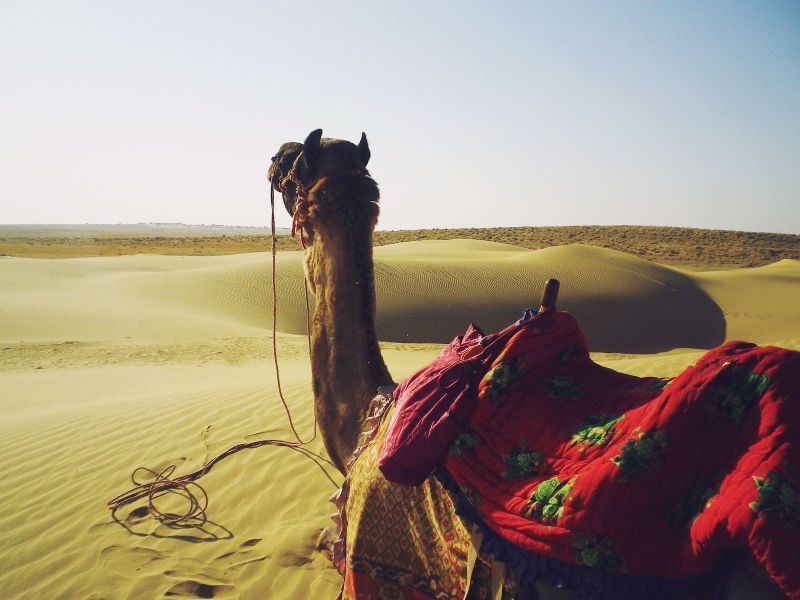 Circuit Privé Escapade colorée au Rajasthan - De New Delhi A New Delhi pas cher photo 6