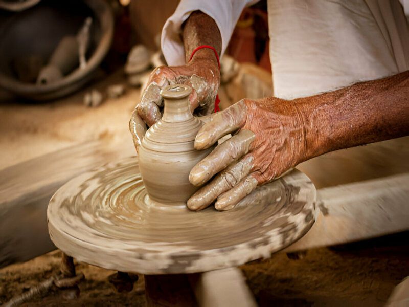 Circuit Tigres, forts et palais au Rajasthan - De New Delhi A New Delhi pas cher photo 8