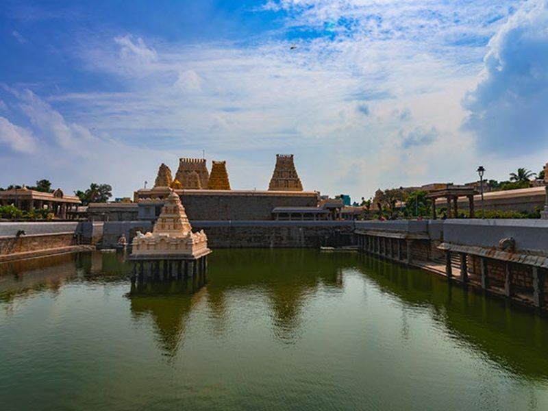 Circuit Privé, Parfum du Sud de l'Inde pas cher photo 3