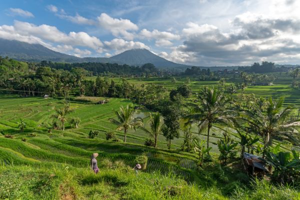 Combiné Jungle, Cascades et Sable de Bali pas cher photo 2
