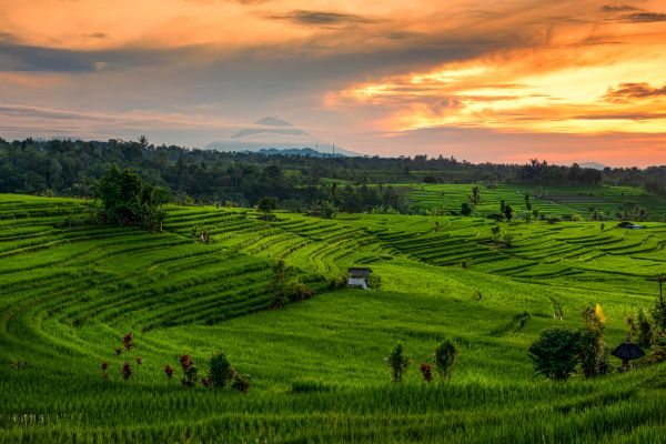 Combiné Jungle, Cascades et Sable de Bali pas cher photo 4