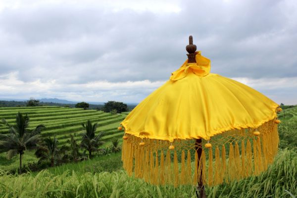 Combiné Jungle, Cascades et Sable de Bali pas cher photo 6