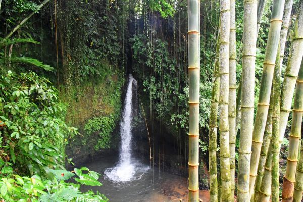 Combiné Jungle, Cascades et Sable de Bali pas cher photo 8