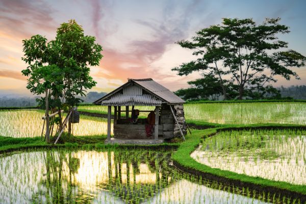 Combiné Jungle, Cascades et Sable de Bali pas cher photo 19