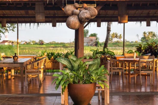 Combiné Jungle, Cascades et Sable de Bali pas cher photo 25