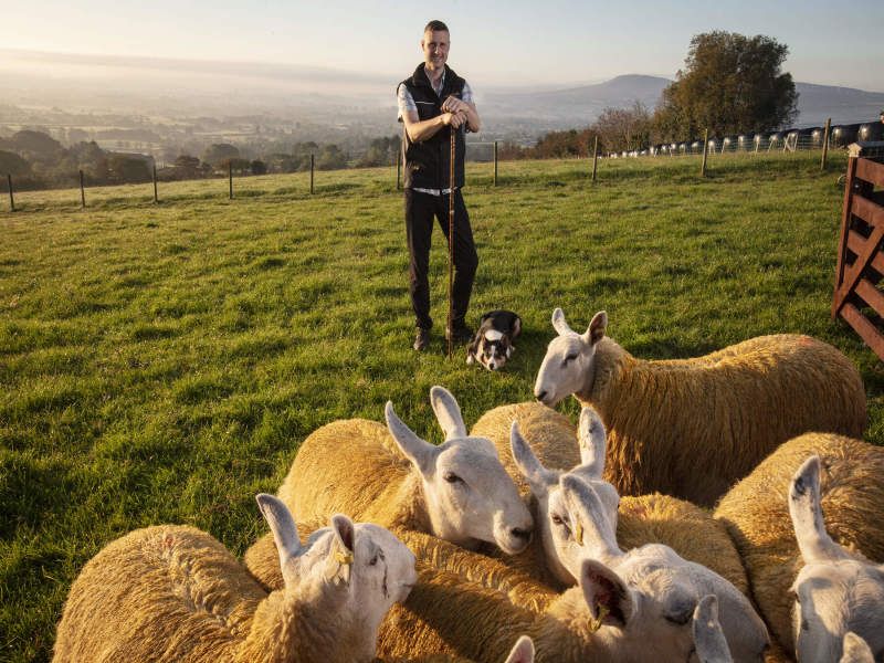 Circuit Essence du Nord, Irlande - De Belfast A Dublin pas cher photo 4