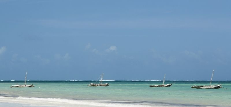 Safari Tsavo East 1N & Séjour au Neptune Paradise Beach Resort & Spa 4* pas cher photo 9