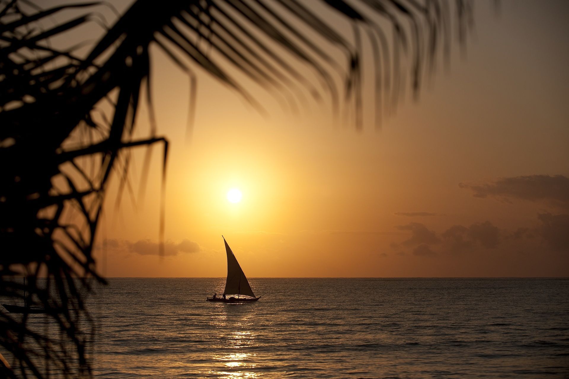 Safari Tsavo East 1N & Séjour au Neptune Palm Beach Boutique Resort & Spa 4* pas cher photo 6