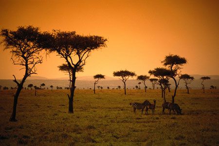 Safari Tsavo East 3J/2N et Séjour au Kappa Club AHG Lion Beach Resort 4*nl pas cher photo 2