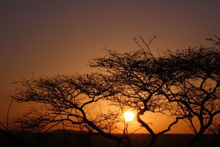 Safari Tsavo East 3J/2N et Séjour au Neptune Village Beach Resort & Spa 4* nl pas cher photo 2