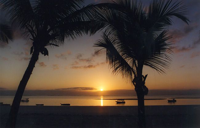 Safari Tsavo East 3J/2N et Séjour au Neptune Palm Beach Boutique Resort & Spa 4* nl pas cher photo 2