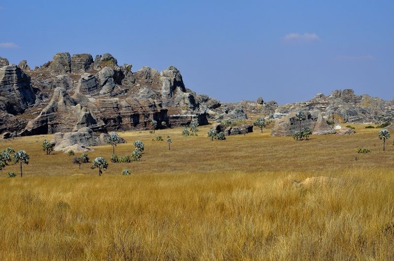 Safari Tsavo East – Amboseli et Séjour au Neptune Palm Beach Boutique Resort & Spa 4* pas cher photo 2