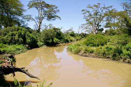 Safari Tsavo East – Amboseli – Tsavo West 3 nuits et Séjour au Crystal Bay Resort 4*nl pas cher photo 2