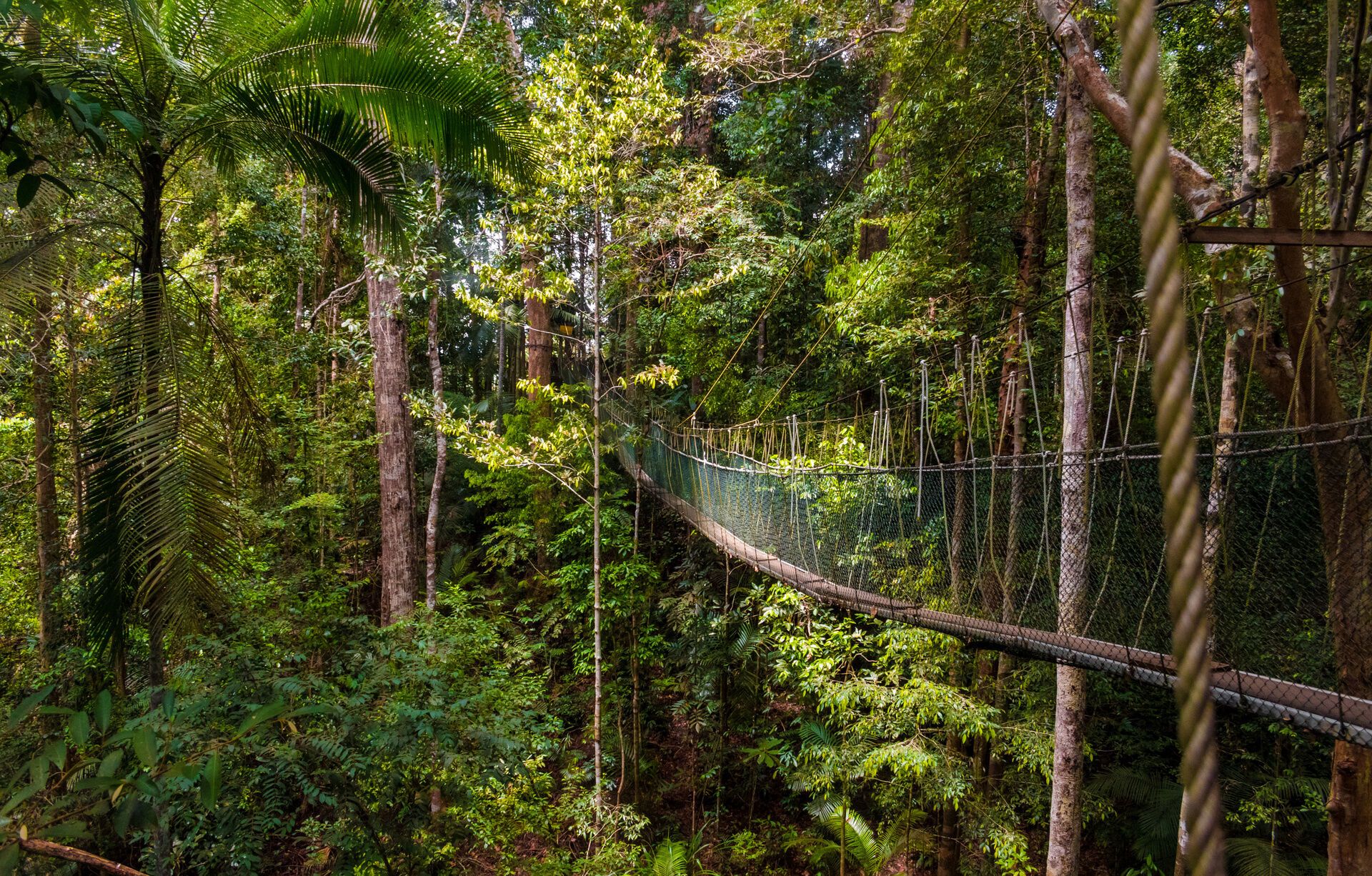 Combiné Kuala Lumpur & Langkawi pas cher photo 1