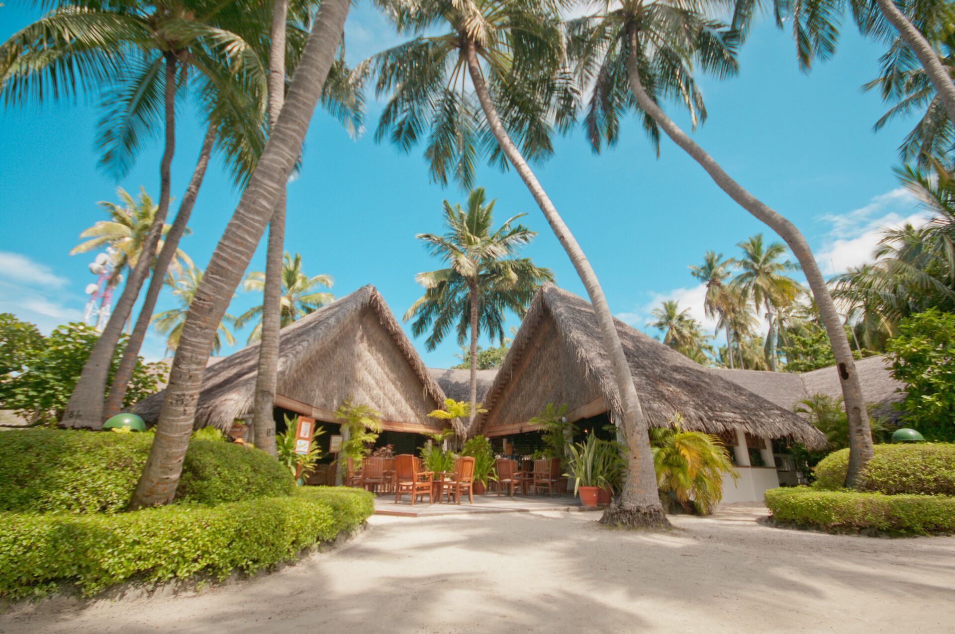 Circuit Coralia Les incontournables du Sri Lanka & Extension Fihalhohi Island Resort 4* pas cher photo 12