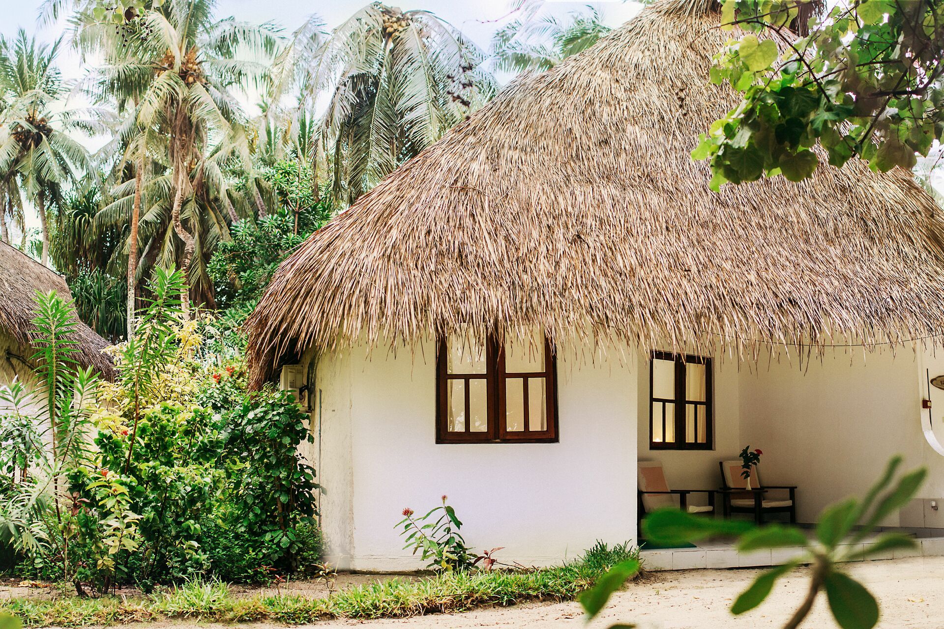 Circuit Coralia Les incontournables du Sri Lanka & Extension Fihalhohi Island Resort 4* pas cher photo 14