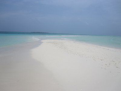 Circuit Découvertes Sri Lankaise 4* & extension Kuredu Resort & Spa 4* pas cher