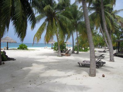 Circuit Kappa Découverte Au Sri Lanka 4* & extension Kuredu Resort & Spa 4* pas cher photo 23