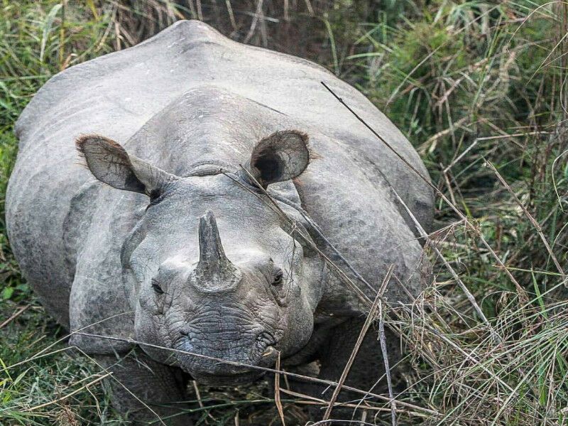 Circuit Népal Demeure Des Dieux - Limité à 20 pers. pas cher photo 8