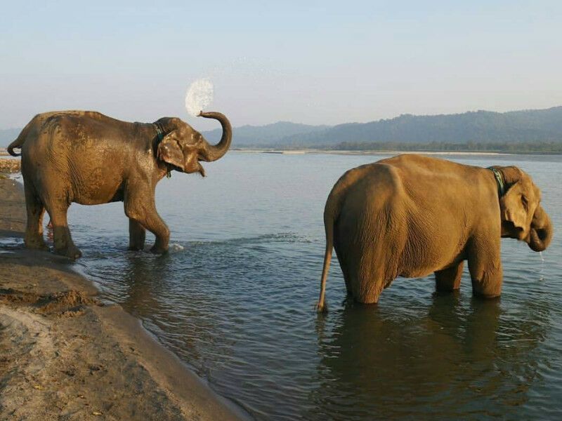 Circuit Népal Demeure Des Dieux - Limité à 20 pers. pas cher photo 9