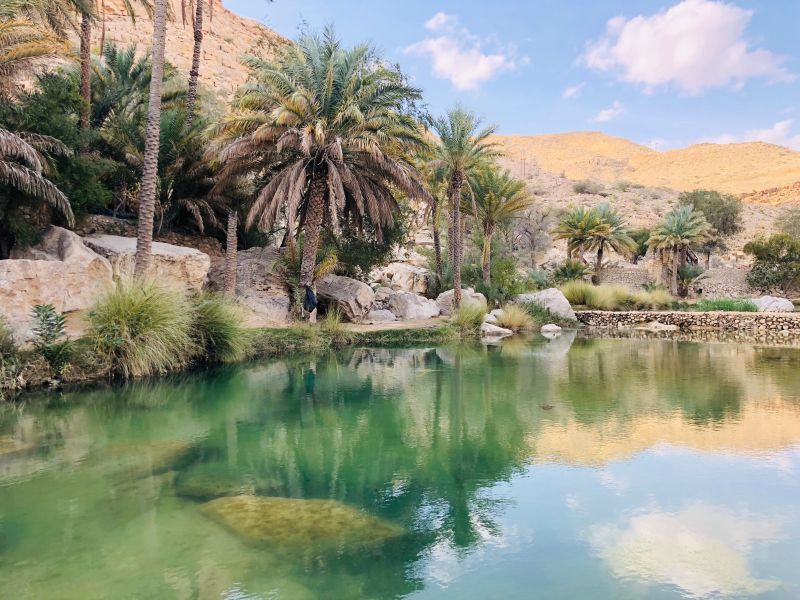 Circuit Les Merveilles Du Sultanat D'Oman & Séjour Intercontinental Muscat 5* pas cher photo 8