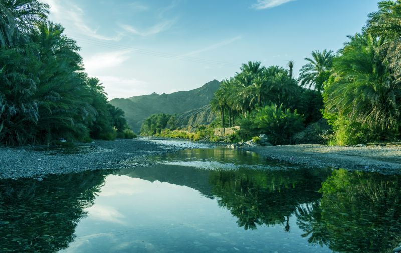 Circuit Les Merveilles Du Sultanat D'Oman & Séjour Intercontinental Muscat 5* pas cher photo 12