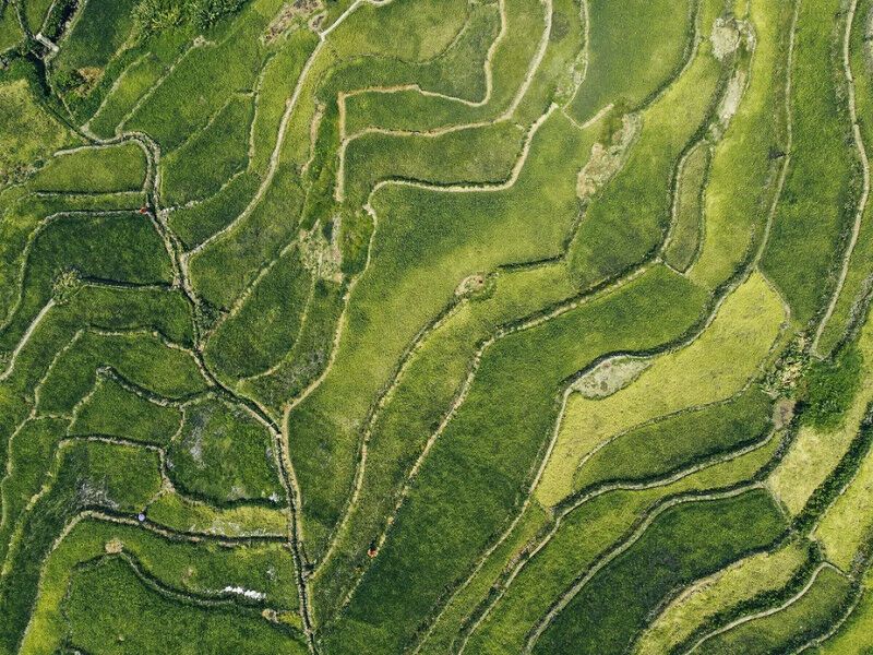 Circuit Joyaux Philippins - De Manille A Manille pas cher photo 3