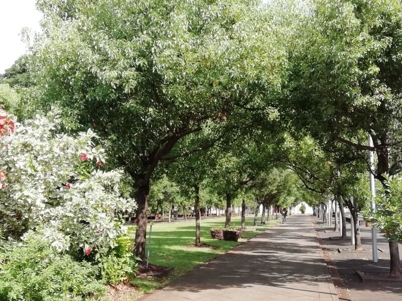 Autotour Terre d'Ananas - De Saint Denis A Saint Denis pas cher photo 2