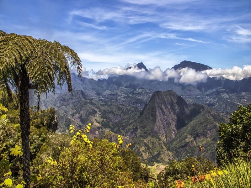 Autotour Terre d'Ananas - De Saint Denis A Saint Denis pas cher photo 3