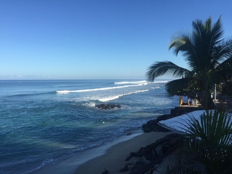 Autotour Terre d'Ananas - De Saint Denis A Saint Denis pas cher photo 5