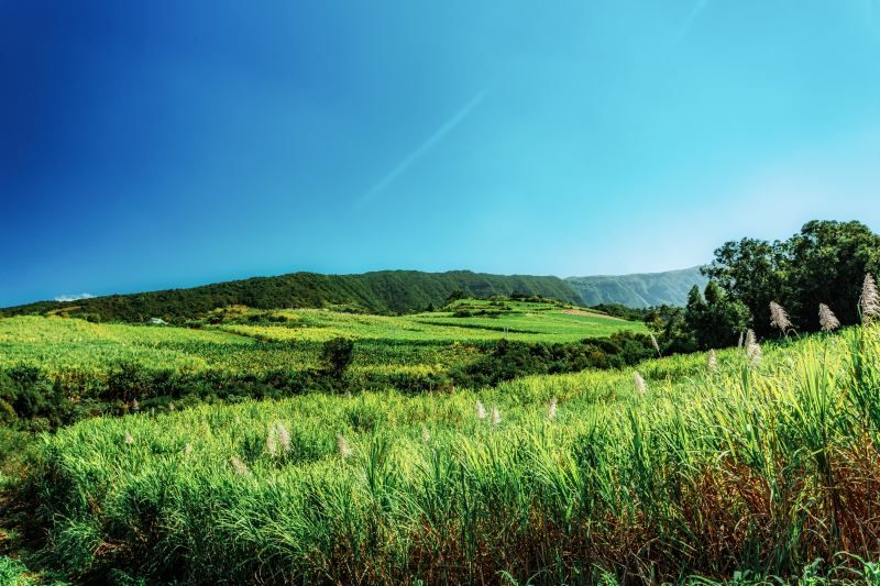 Autotour Terre d'Azalées - de Saint Denis à Saint Denis pas cher photo 1