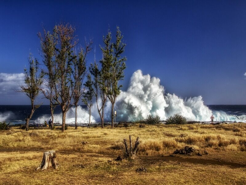 Autotour Terre de Massalé - De Saint Denis à Saint Denis pas cher photo 8