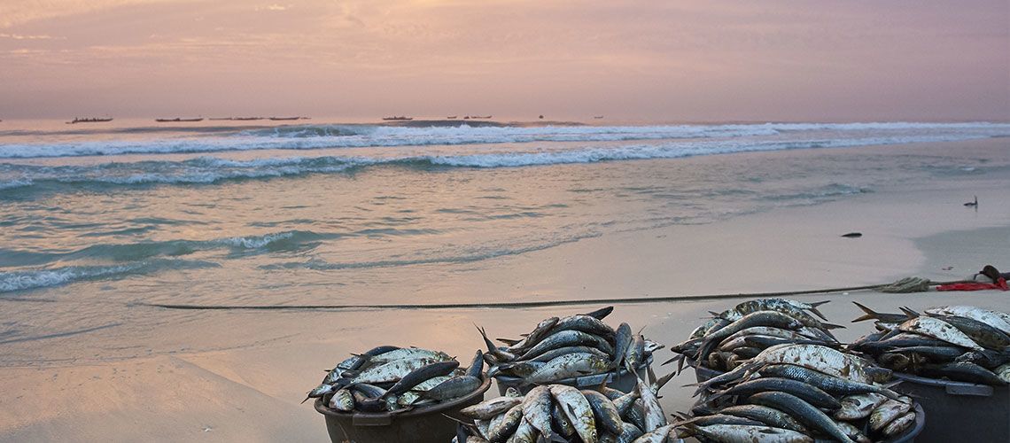OP - Kappa Circuit aux Couleurs du Sénégal et Séjour au Kappa Club Royal Horizon Baobab 4* pas cher photo 16