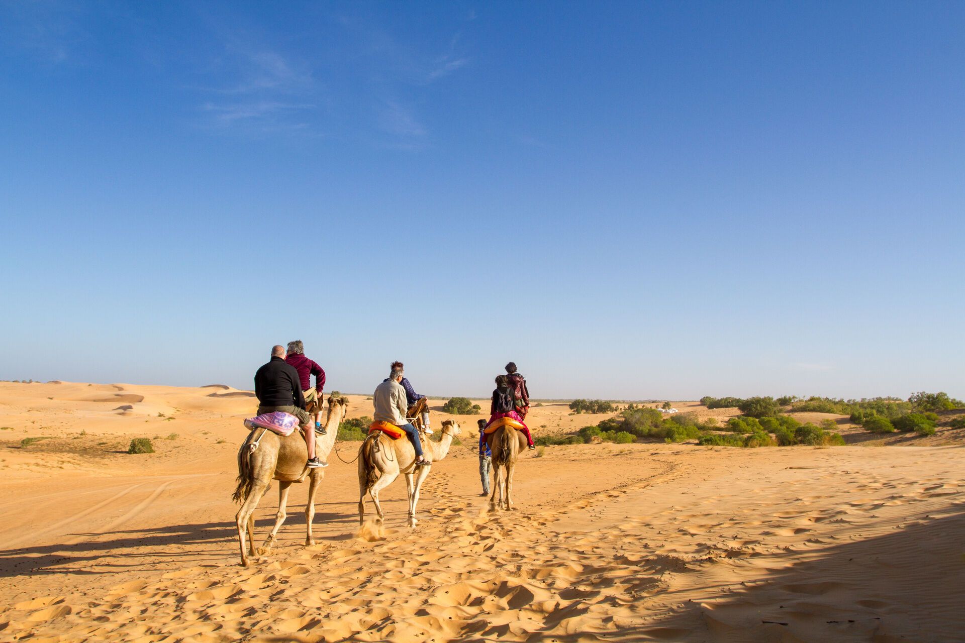 Circuit Jet Tours A L'Essentiel - Trésors du Sénégal & Séjour au Jet Tours Signature Royam 4* NL pas cher photo 8